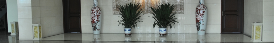 北京青山綠野科技股份有限公司