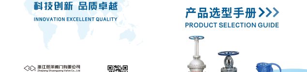 浙江雙洋閥門(mén)有限公司