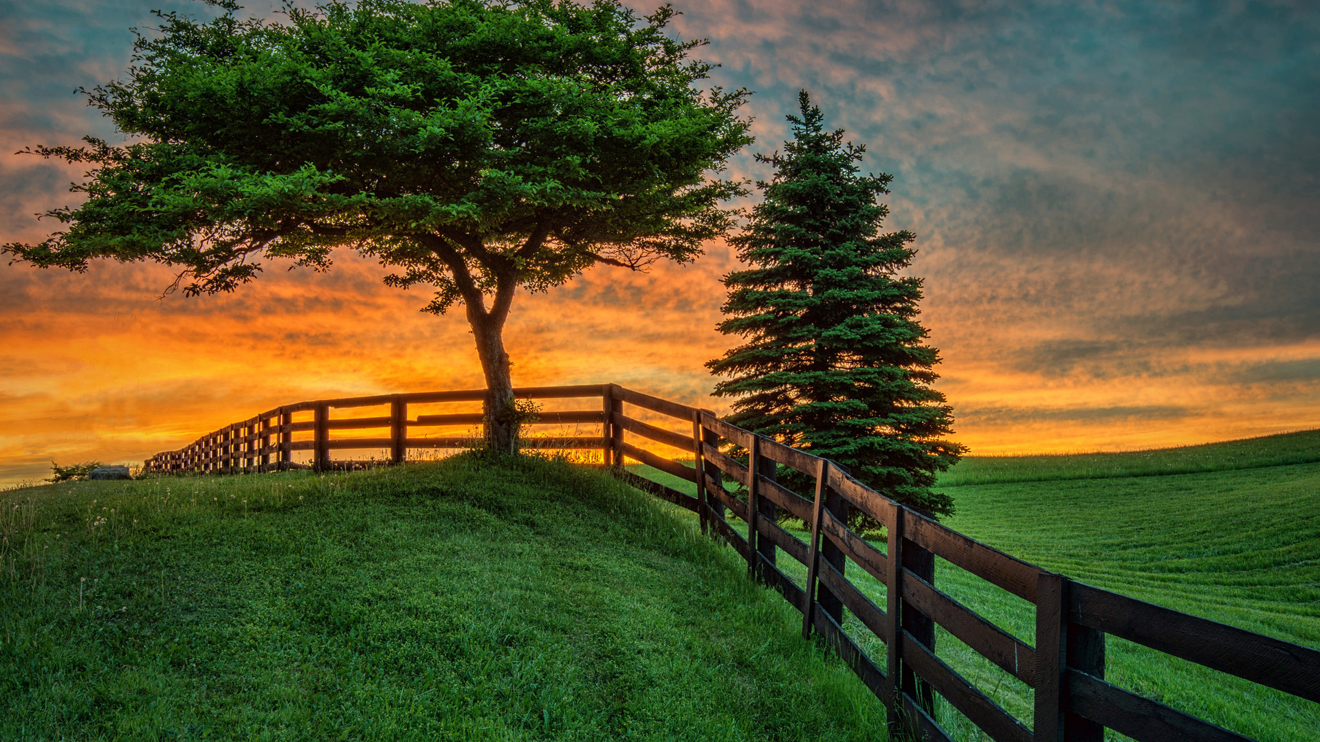 遠(yuǎn)齊測(cè)試請(qǐng)勿刪除